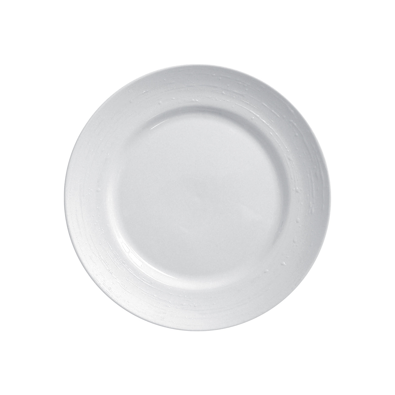 White Tears Dinner Plate (Set of 4)