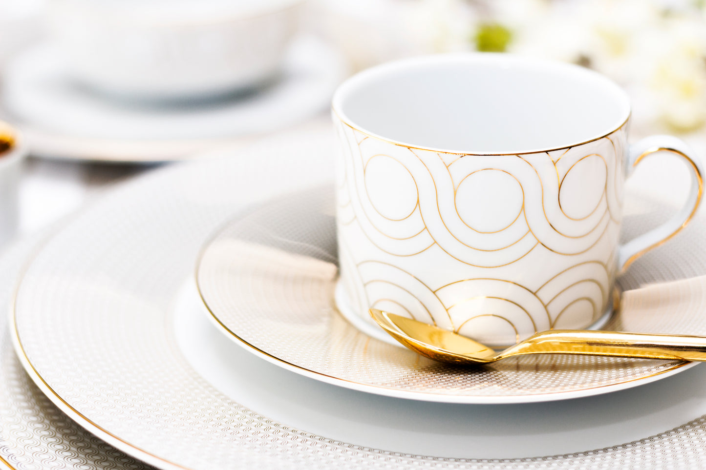 Infinity Dinner Plate (Set of 4)